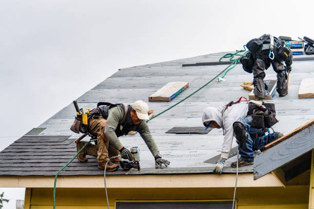 Professional Storm Damage Roof Repair technician working in Shelley, ID
